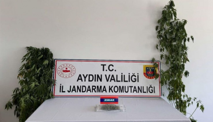 Aydın'da tacirlere baskın sürprizi: 13 şüpheli yakalandı
