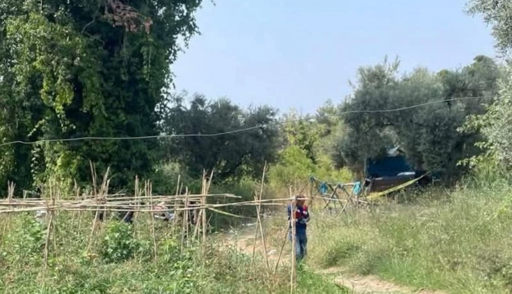Bahçesini domuzlardan korumak için evden çıktı: Tarlasında cesedi bulundu