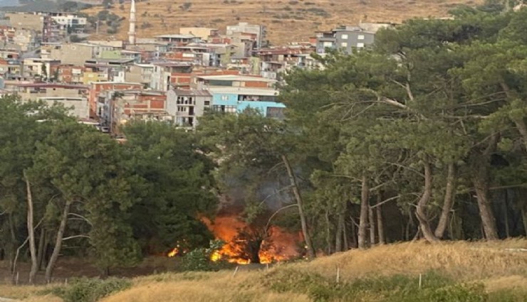 Bornova Çamkule’de orman yangını:  Alevler yerleşim yerine yaklaşıyor