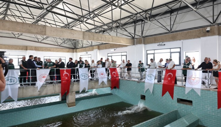 Çeşme'yi susuzluktan kurtaracak Karareis Barajı açıldı