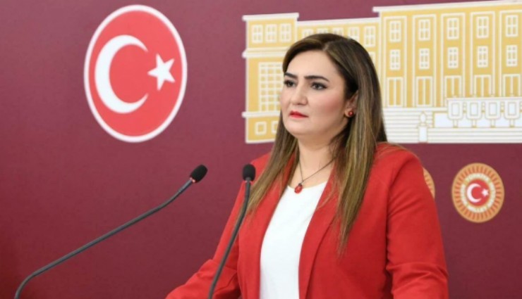 CHP'li Kılıç Rojin Kabaiş cinayetini TBMM'ye taşıdı: Dört bakanlık sus pus