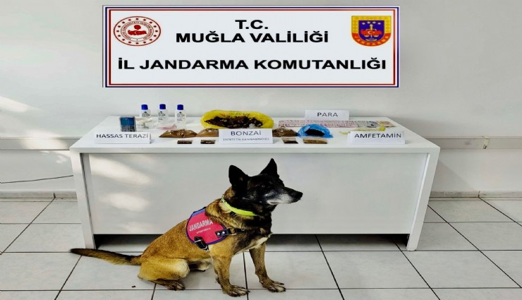 Muğla'da uyuşturucu operasyonunda 2 gözaltı