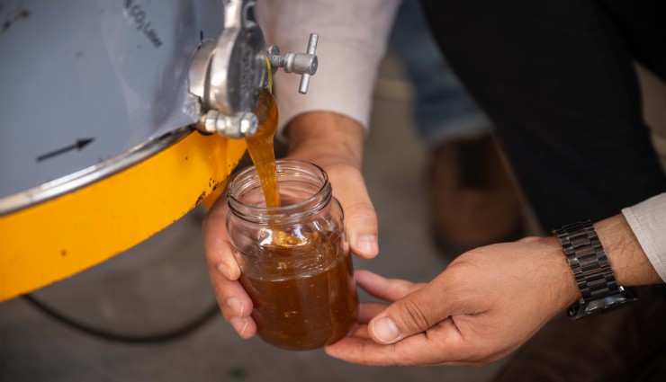Bornova’da Tatlı Emek: Bal Hasadı Sevinci