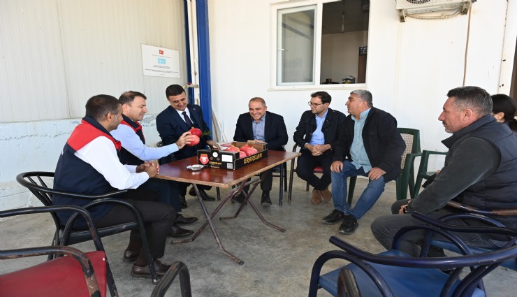 Denizli'de bu yıl narda 60 bin ton rekolte bekleniyor