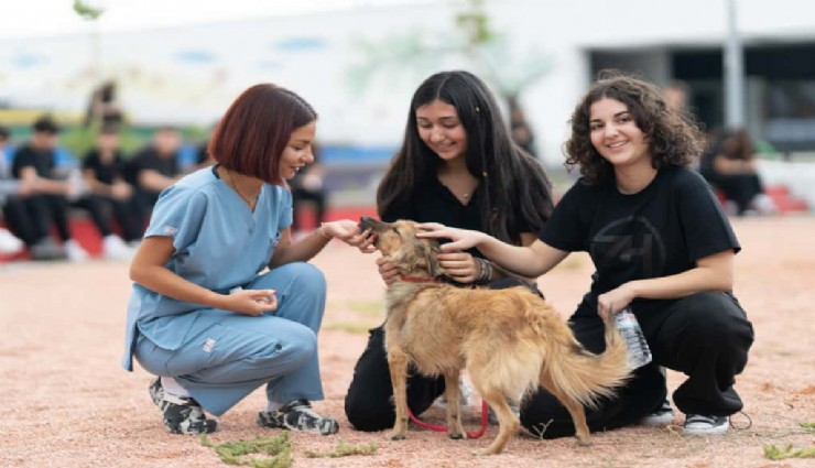 İzmirli öğrencilerden anlamlı mesaj: Hayvanlara şiddet son bulsun