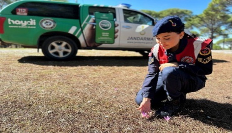 Jandarmadan endemik bitki nöbeti: Bu çiçeği koparana 557 bin TL ceza