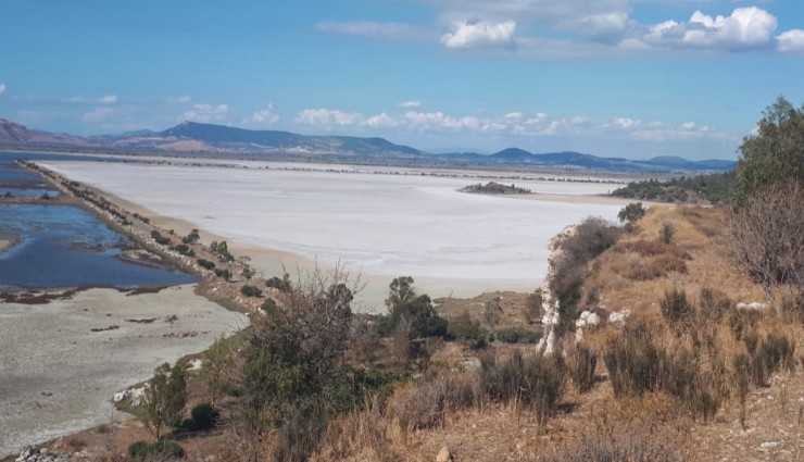 Kuş profesöründen son uyarı: Kuş Cenneti’nde 5 bin yuva yok oldu, tedbir alınmazsa hiç kalmayacak