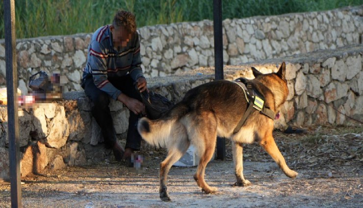 Kuyuya düşen adamın hayatını köpeği kurtardı