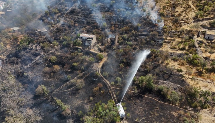 Patlıcan közledi ormanı yaktı