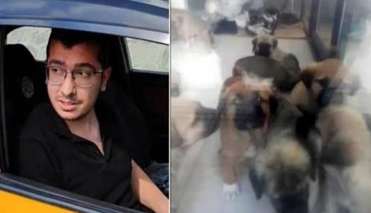 Sahiplendiği köpeklere cinsel istismarda bulunup öldürdüğü iddiasıyla 9 yıl 9 ay ceza aldı