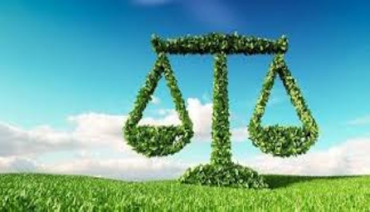 Çevre davalarında adalet erişimi zorlaşıyor: Adalet çok pahalı