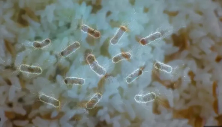 Masum görünen pirinçteki büyük tehlike: Tabip Odası uyardı