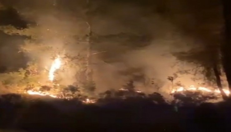 Muğla'da çıkan orman yangını kısa sürede kontrol altına alındı