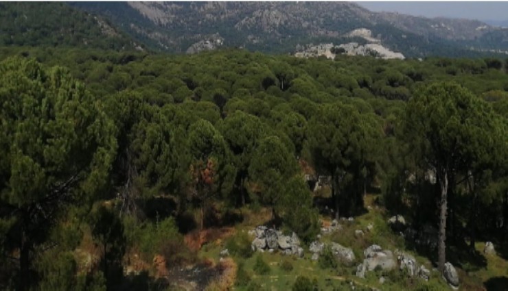 UNESCO’ya rezil olduk: İzmir’de Küresel Jeopark Alanı için başvurulan bölgeye maden sahası izni