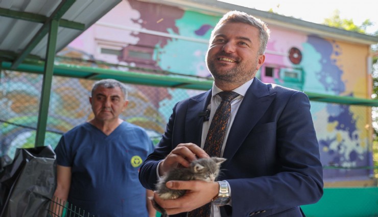 Buca'da Satın Alma, Sahiplen! çağrısı yanıt buldu