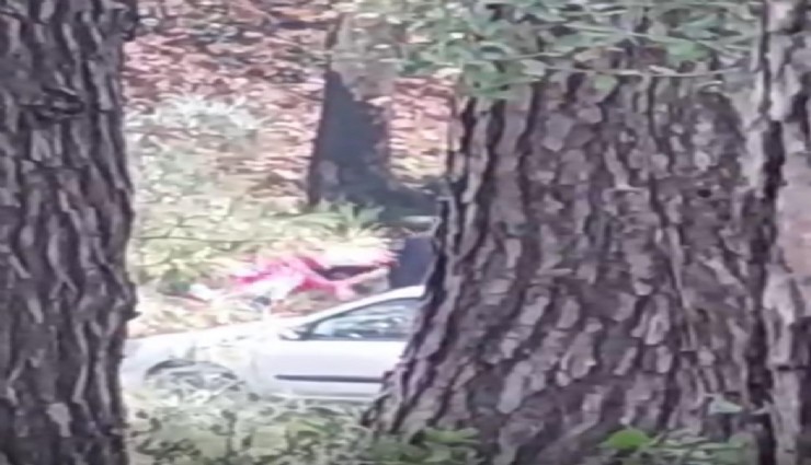 Ormanlık alanda kadını darbeden şüpheli yakalandı