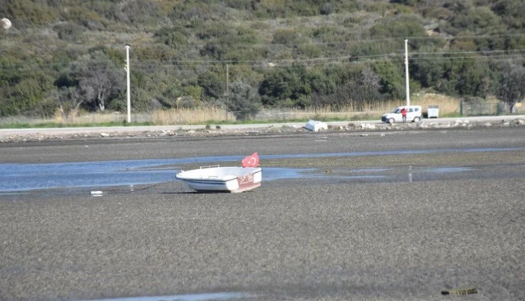 Akyaka ve Seferihisar'da deniz suyu 12 metre çekildi: Uzmanlar depremle ilgisi olmadığını açıkladı