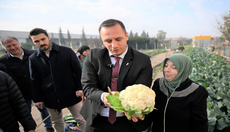 Bornova Tohum Takas Şenliği 15 Şubat’ta