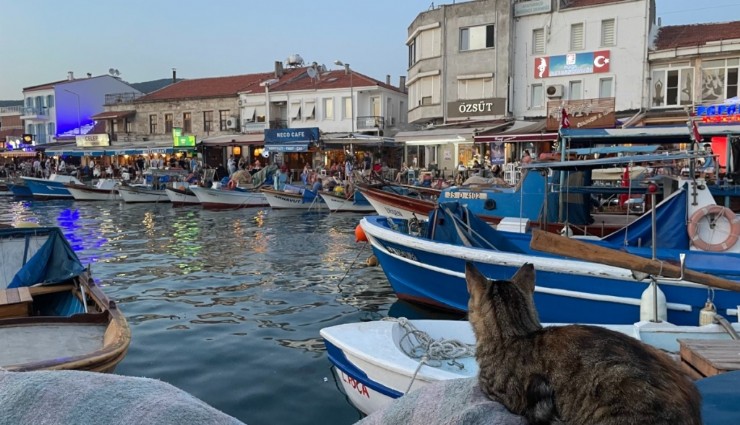 Foça'daki evinde ölü bulundu