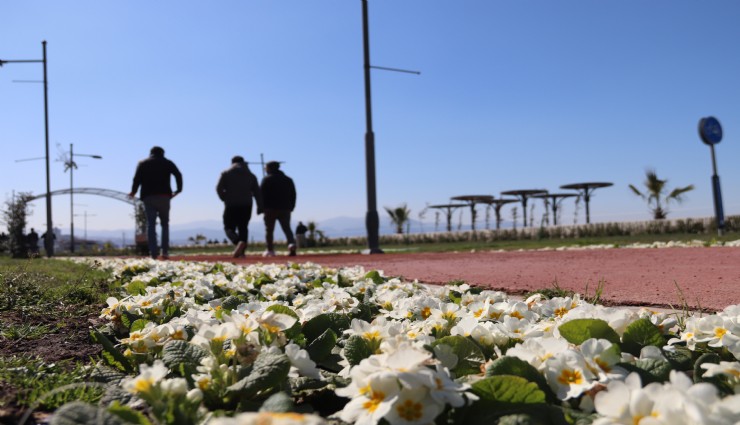 Türkiye genelinde kar, İzmir'de güneş etkili oldu