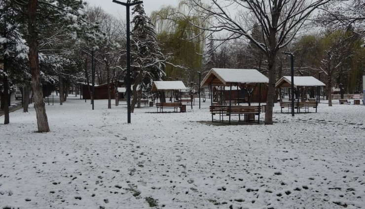 Bahar beyazına kar beyazı karıştı