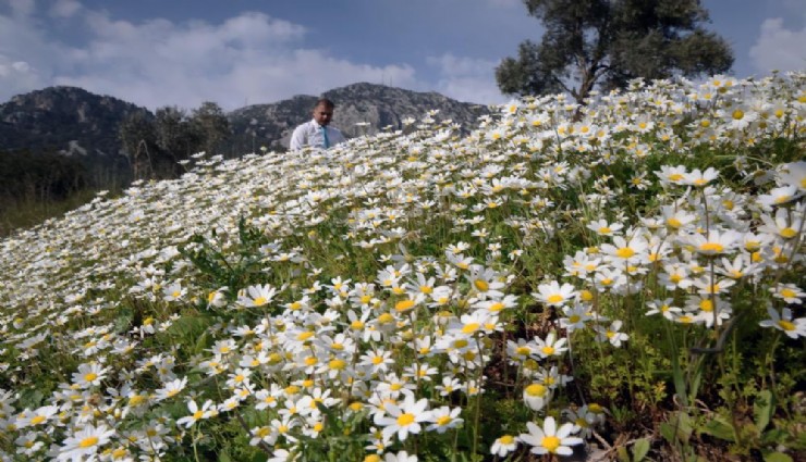 Baharın müjdecisi iş başında: Üçüncü cemre toprağa düştü