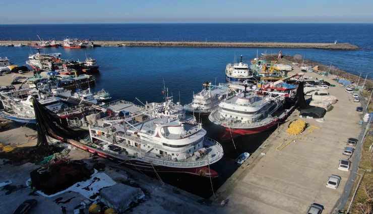 Türkiye’de 1 Eylül’de başlayan balık avı sezonu 15 Nisan’da sona erecek