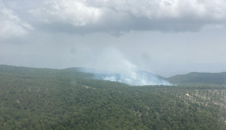 Aydın’daki orman yangını kontrol altına alındı