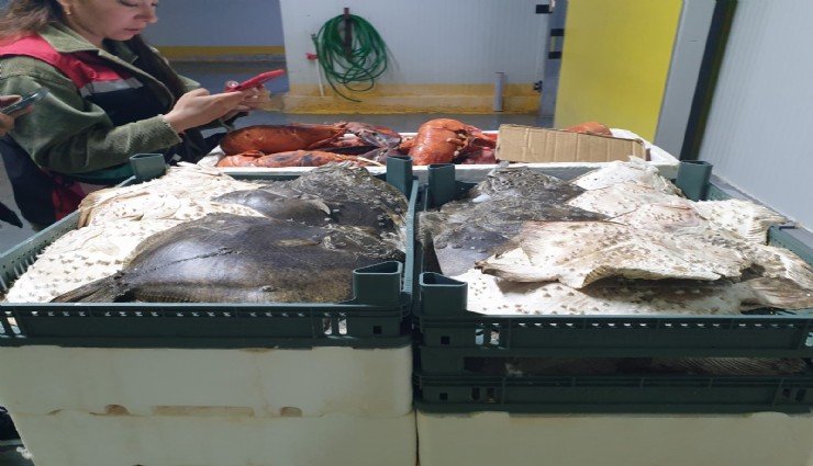 Bakanlık tespit etti: İzmir'de su ürünleri denetimlerinde 321 Bin TL ceza kesildi