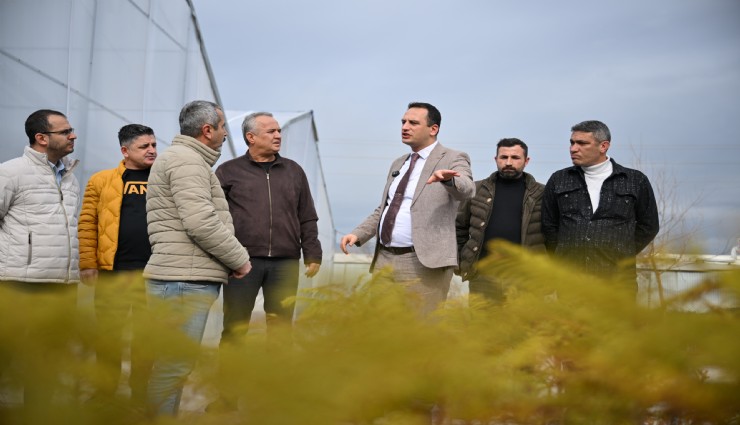 Bornova Belediyesi fidanlığı yeni görünümüyle göz kamaştırıyor