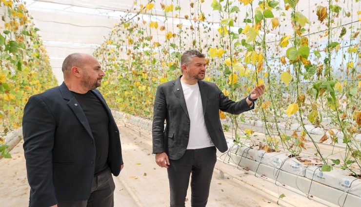 Buca Belediyesi’nin serasına hain saldırı