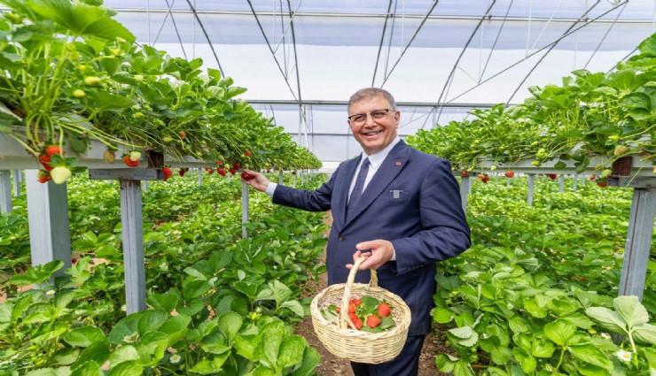 Dikili’de toprak suyla buluştu, üretici bayram sevinci yaşadı