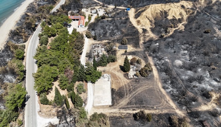 Doğa kendini onarıyor: Çanakkale’de 700 hektarlık alanda yeniden hayat başladı
