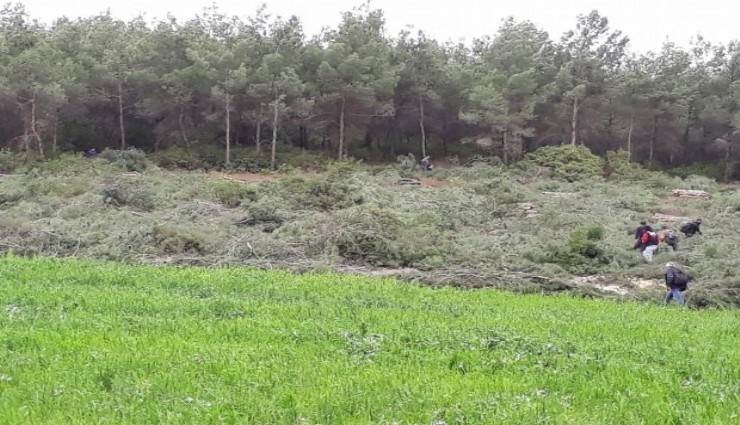 İzmir’de 7 milyon 473 bin 562 metrekare orman alanına yapılaşma yolu: Orman alanı dışına çıkarıldı