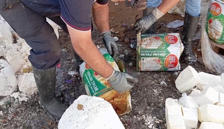 İzmir'de gıda faciası, vatandaşları zehirleyeceklerdi: 7 ton 12 kilo bozuk peynir ele geçirildi