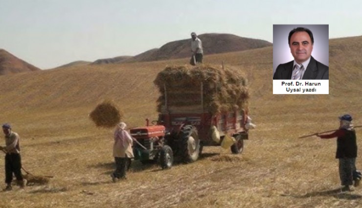 Köylü isyanda…