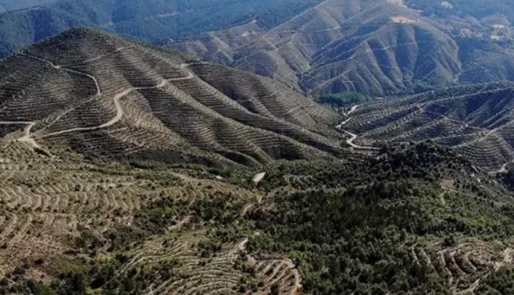 Kütahya'da ormanlara giriş yasaklandı