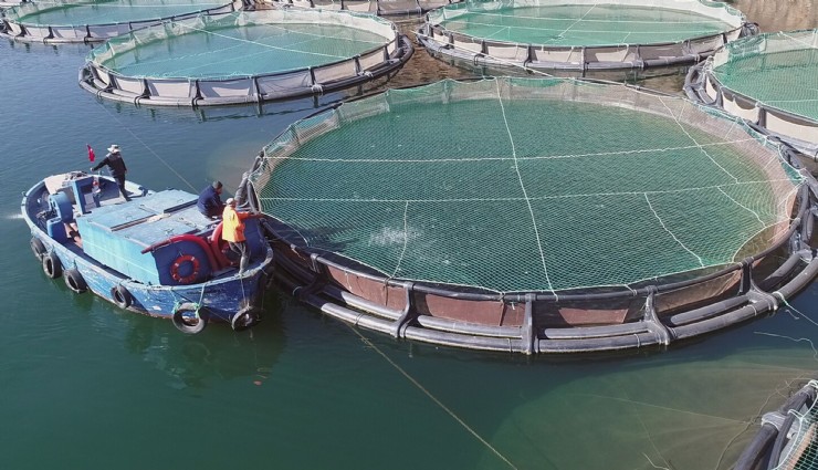 Muğla'nın su ürünleri ihracatı 1 milyar dolara yaklaştı