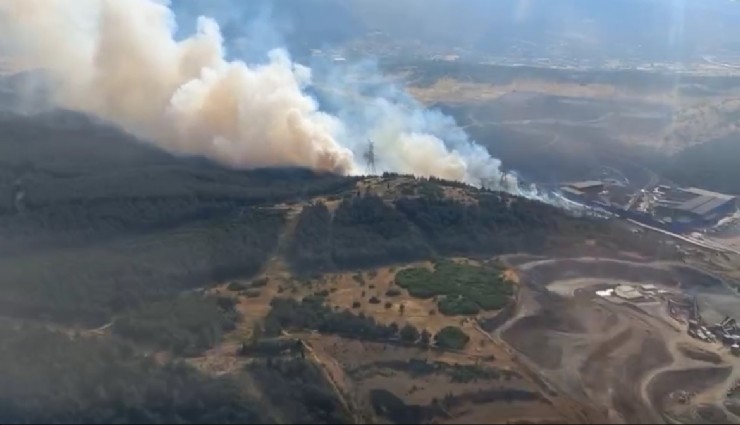 Aliağa’da ormanlık alandaki yangın kontrol altında