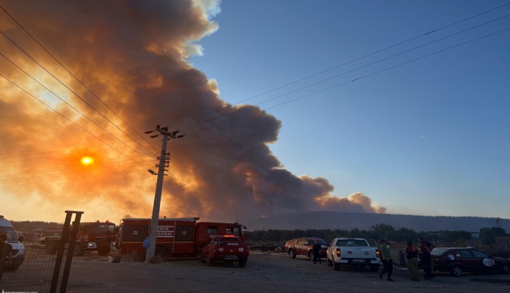Aliağa ve Foça alev alev: İtfaiye seferber oldu