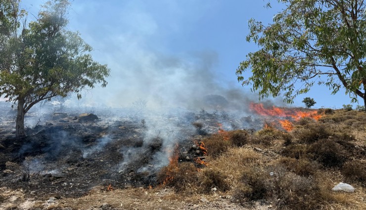 Bodrum Türkbükü’nde makilik alanda yangın