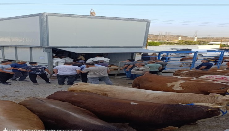Büyükşehir’den bayramda güvenli ve hijyenik kesim hizmeti