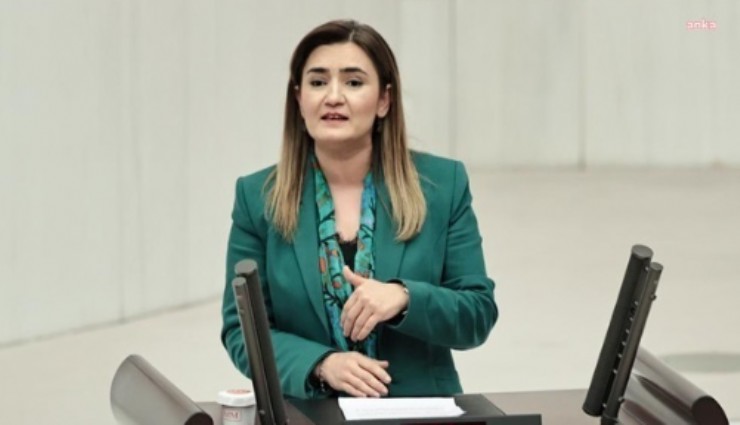 CHP’li Kılıçtan yangın isyanı: ‘Geçen sene uyaranları dinlemediniz’