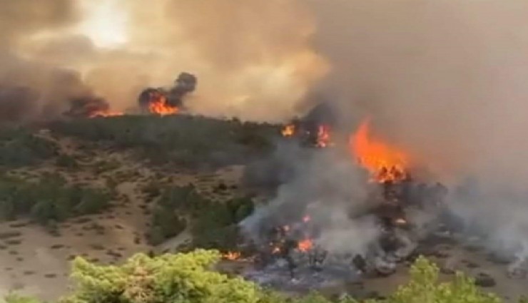 Denizli’de yıldırım düşmesi sonucu başlayan orman yangınları söndürüldü