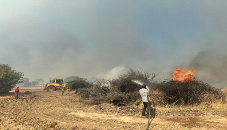 Foça-Aliağa arasında çıkan yangına müdahale sürüyor