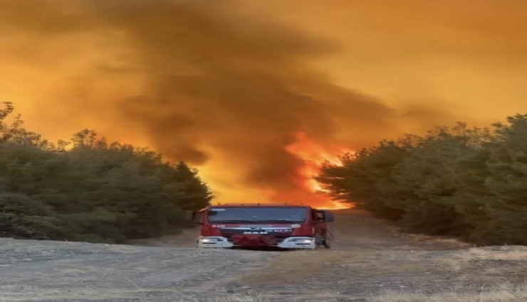 Foça'da yangın büyüdü, bazı evler tahliye edildi