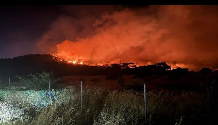 Foça'da yangın devam ediyor