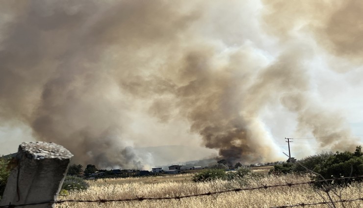 İzmir’de orman yangını kontrol altında