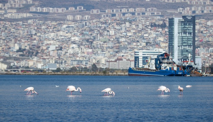 İzmir’in iklim eylemi çalışmaları Avrupa gündeminde