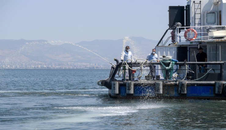 İzmir Körfezi’nde modifiye kil umudu: Körfez modifiye kil yöntemiyle nefes alacak